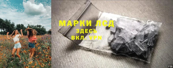 винт Алзамай