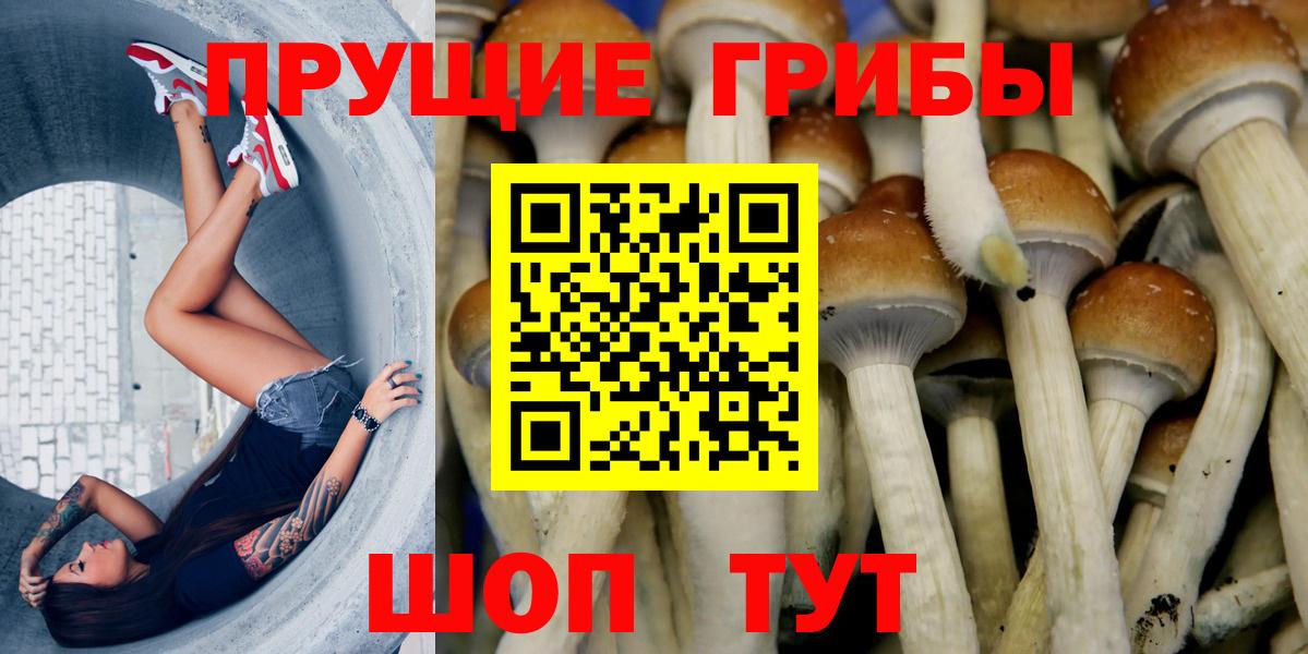 Галлюциногенные грибы Magic Shrooms Нягань