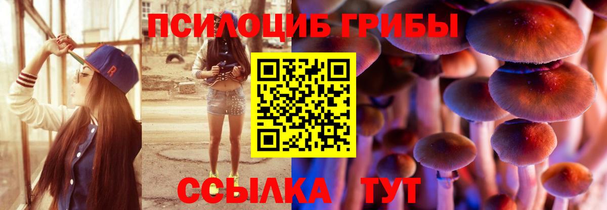Псилоцибиновые грибы мухоморы  Вход с VPN  Нягань 