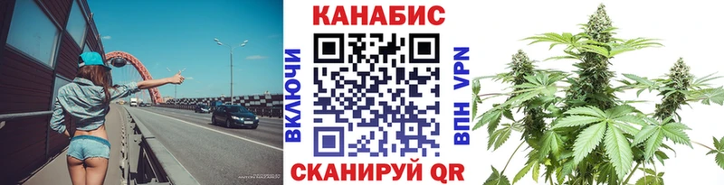 Конопля план  купить   Нягань 